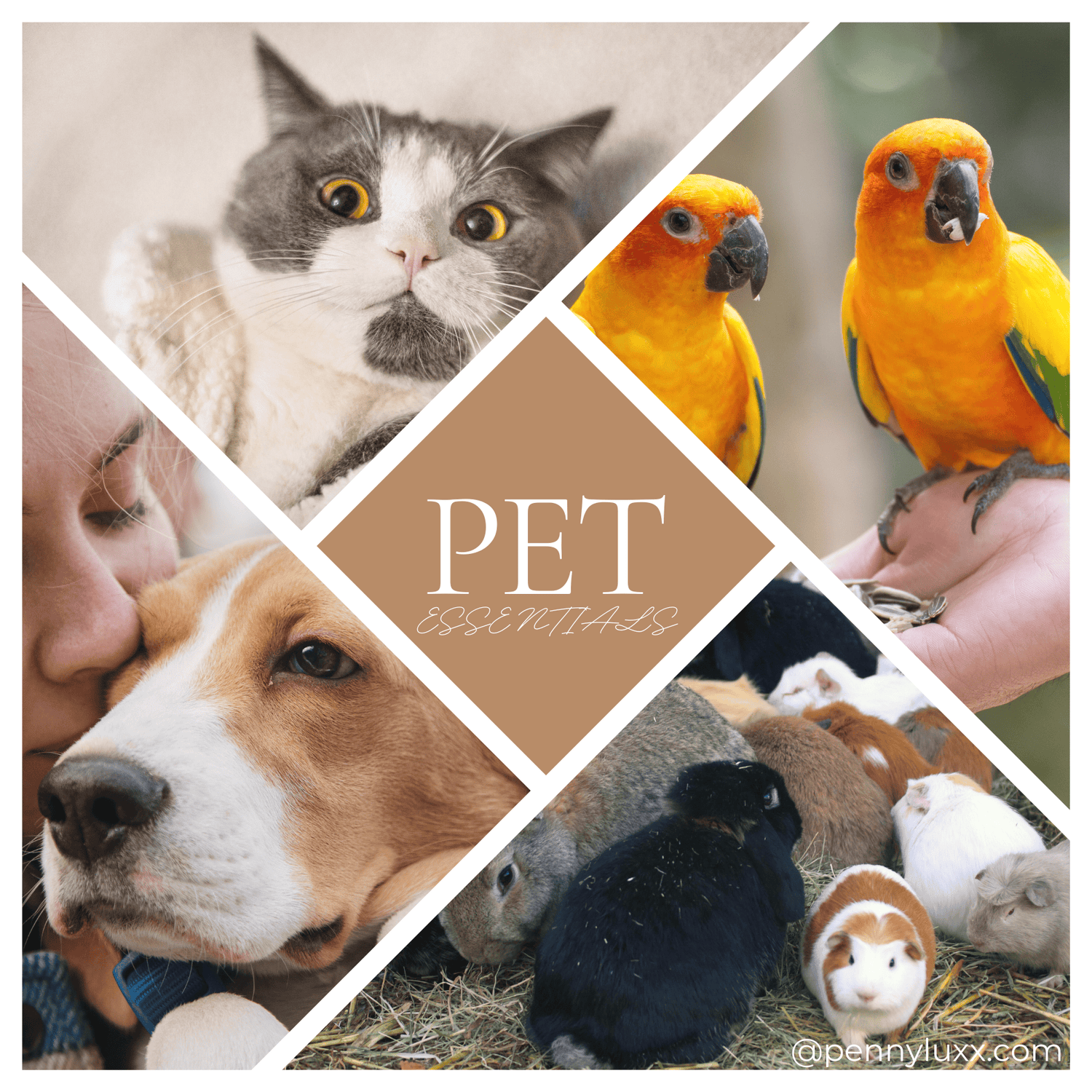 Pets